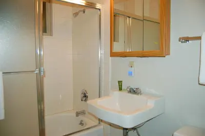 a bathroom with a sink and a shower at 30A Dunnings Retreat in Wawona