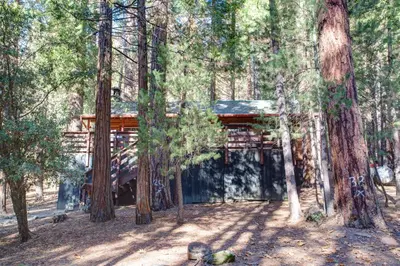 a tree house in the middle of the forest at 70 Simmons Den in Wawona