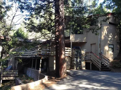 a house with a tree in front of it at 18A Pohono Pines in Wawona