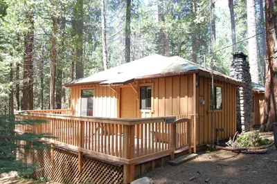 a wooden cabin in the woods with trees at 9S Pine Cabin in South Wawona