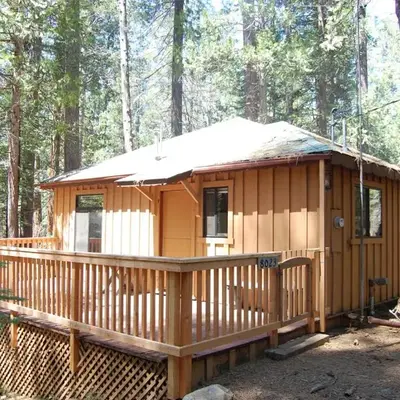 9S Pine Cabin