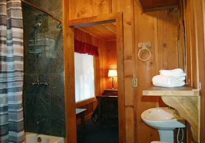 a bathroom with a shower and a toilet and a sink at 10N Black Oak Lodge in Wawona