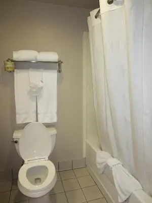 a bathroom with a toilet and a shower with towels at Holiday Inn Express Rocklin - Galleria Area by IHG in Rocklin