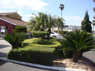 a group of plants in a parking lot at Oasis Inn Sacramento- Elk Grove in Sacramento