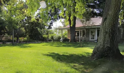 a house with a tree in front of a yard at Cottage on Armstrong in Lodi