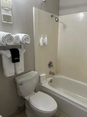 a bathroom with a white toilet and a bath tub at Days Inn by Wyndham Turlock in Turlock