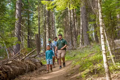 a group of people walking on a trail in the woods at Tenaya at Yosemite in Fish Camp