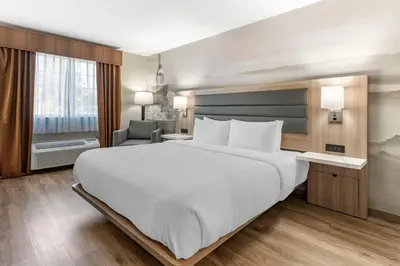 a hotel room with a large bed and a chair at Best Western Plus Vineyard Inn in Livermore