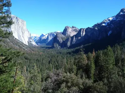 a view of a forest with mountains in the background at Suite Sunshine in Yosemite West
