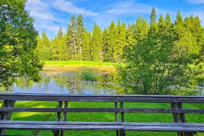 a bench in front of a lake with trees at Water's Edge Retreat in Shaver Lake
