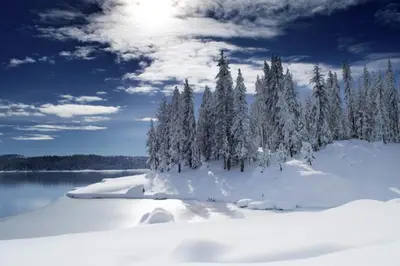 a group of trees covered in snow next to a lake at Blue Jay Condominium in Lakeshore