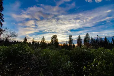 a kite is flying in the sky over a field at New England Cottage in Shaver Lake