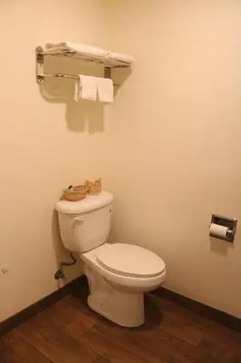 a bathroom with a white toilet in a room at Timberline Motel in Lone Pine