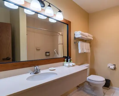 a bathroom with a sink and a mirror and a toilet at Truckee Donner Lodge in Truckee