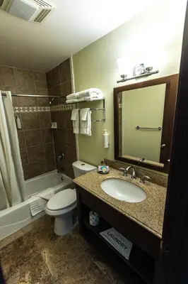 a bathroom with a sink and a toilet and a mirror at The Mammoth Creek Inn in Mammoth Lakes