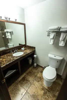 a bathroom with a toilet and a sink and a mirror at The Mammoth Creek Inn in Mammoth Lakes