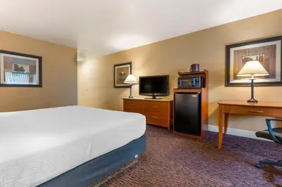 a hotel room with a bed and a television at Best Western Plus Placerville Inn in Placerville