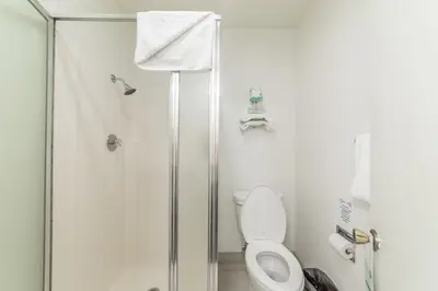 a bathroom with a shower and a toilet at Alpenhof Lodge in Mammoth Lakes