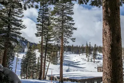 a snow covered mountain with trees and a ski slope at Sierra Megeve #8 Condo in Mammoth Lakes