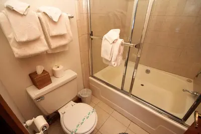 a bathroom with a toilet and a glass shower at Mountainback 45 Den in Mammoth Lakes