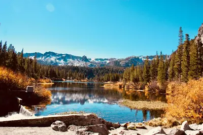 a lake in the middle of a forest at Mountainback 40 Loft Corner in Mammoth Lakes