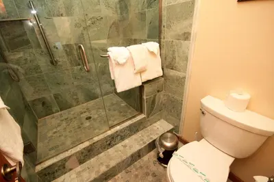a bathroom with a shower and a toilet at Mountainback 49 Den in Mammoth Lakes