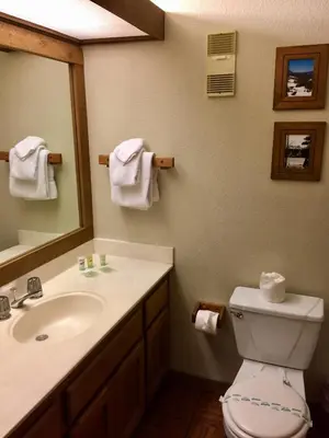 a bathroom with a sink and a toilet and a mirror at Mountainback #74 in Mammoth Lakes