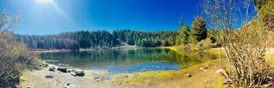 a lake in the middle of a forest at Mountainback 60 Corner Unit in Mammoth Lakes