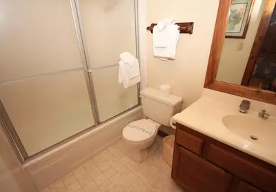 a bathroom with a shower and a toilet and a sink at Mountainback 53 Loft in Mammoth Lakes