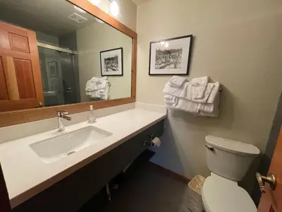 a bathroom with a sink and a toilet and a mirror at Mountainback 53 Loft in Mammoth Lakes