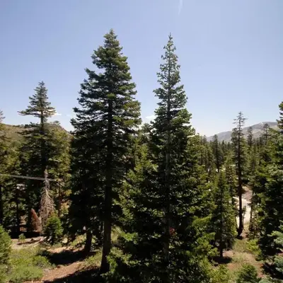 Mammoth Ski Racquet Club 54