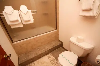 a bathroom with a toilet and a shower with towels at Mountainback 111 in Mammoth Lakes