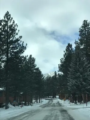 a snow covered road with trees on it at Mountainback 111 in Mammoth Lakes