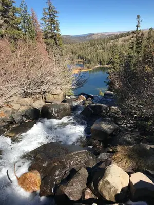 a stream of water with rocks and trees at Mountainback 94 in Mammoth Lakes