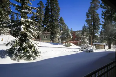 a snow covered yard with trees and a house at Mountainback 62 in Mammoth Lakes