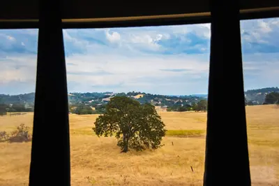a window view of a tree in a field at Oak Ridge Inn in Plymouth