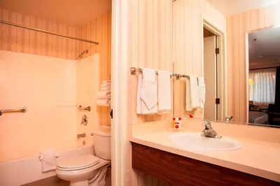 a bathroom with a sink and a toilet and a mirror at Carson Valley Motor Lodge and Suites in Minden