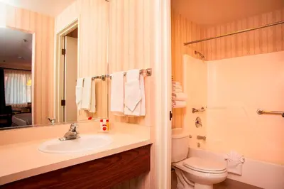 a bathroom with a sink and a toilet at Carson Valley Motor Lodge and Suites in Minden