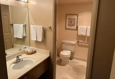 a bathroom with a sink and a toilet and a mirror at Hardman House in Carson City
