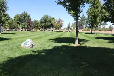 a tree and a rock in a park at Historian Inn in Gardnerville
