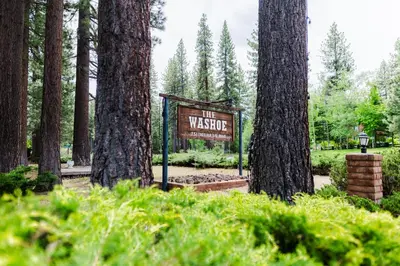 a sign in a park between two trees at The Washoe Lodge in South Lake Tahoe