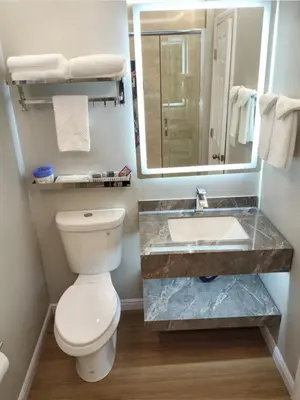 a bathroom with a toilet and a sink and a mirror at Mountain View Motel in Bishop