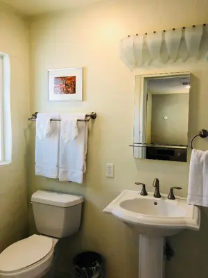 a bathroom with a white toilet and a sink at Queen's Inn By The River in Oakhurst