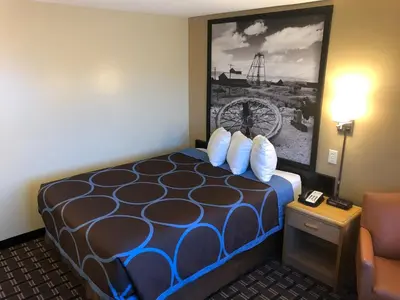 a hotel room with a bed and a picture on the wall at Super 8 by Wyndham Carson City Lake Tahoe in Carson City