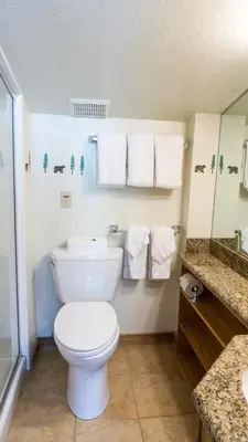 a bathroom with a toilet and a sink and towels at Ski Trails 4042 in Truckee