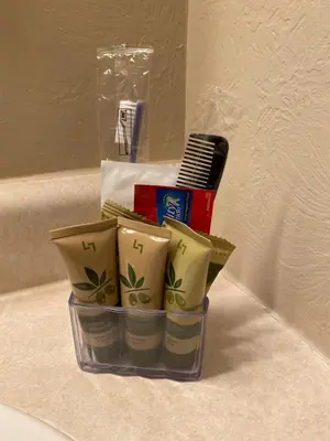a toothbrush and toothpaste in a container on a sink at Independence Courthouse Motel in Independence