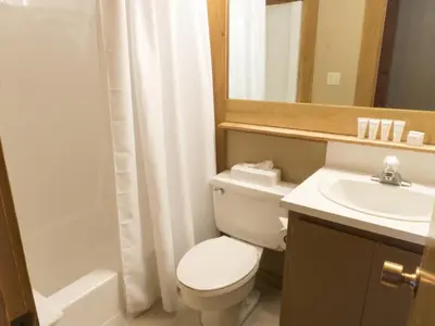 a bathroom with a toilet and a sink and a mirror at 3130 Aspen Grove in Truckee