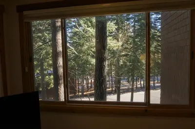 a window with a view of a park through it at 4081 Ski Trails in Truckee