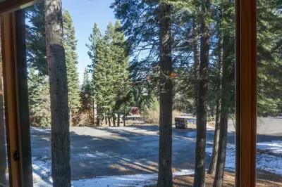 a view from a window of a yard with trees at 4025 Ski Trails in Truckee