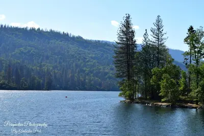 a view of a lake with trees on the shore at Yosemite Foothill Retreat in Coarsegold